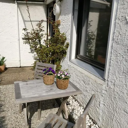 Harzstern Bungalow Studio Mit Garten