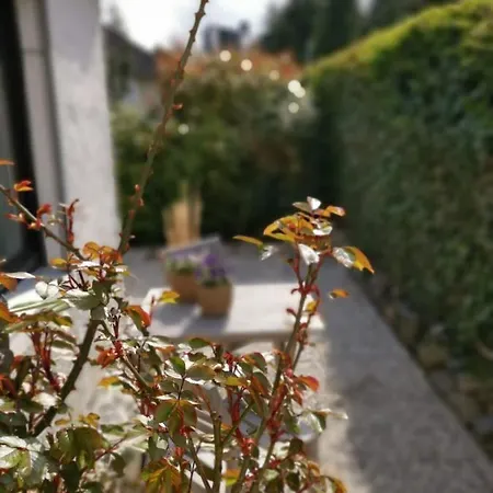 Harzstern Bungalow Studio Mit Garten * Bad Harzburg